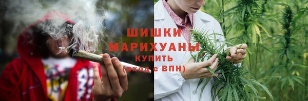 амф Семилуки