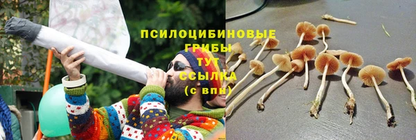 Альфа ПВП Нефтекумск