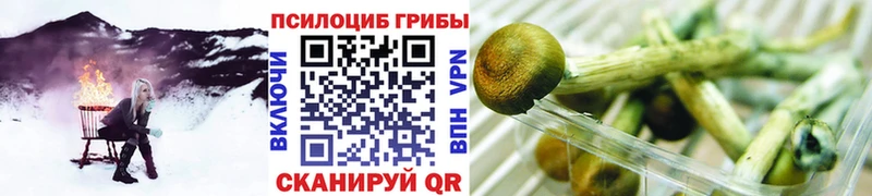 KRAKEN онион  Арсеньев  Псилоцибиновые грибы GOLDEN TEACHER  закладка 