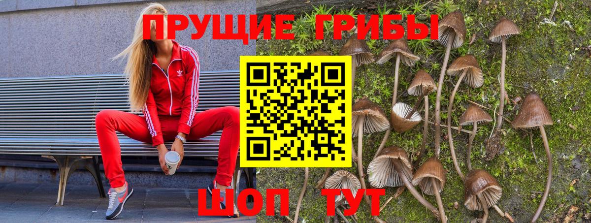 Псилоцибиновые грибы ЛСД  Вход с VPN  Псилоцибиновые грибы Cubensis  Арсеньев 