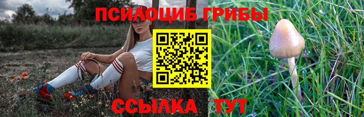 Арсеньев  ГАШ  Alpha PVP СК   МДМА  Купить  NBOMe  Меф МЯУ МЯУ   Марихуана 